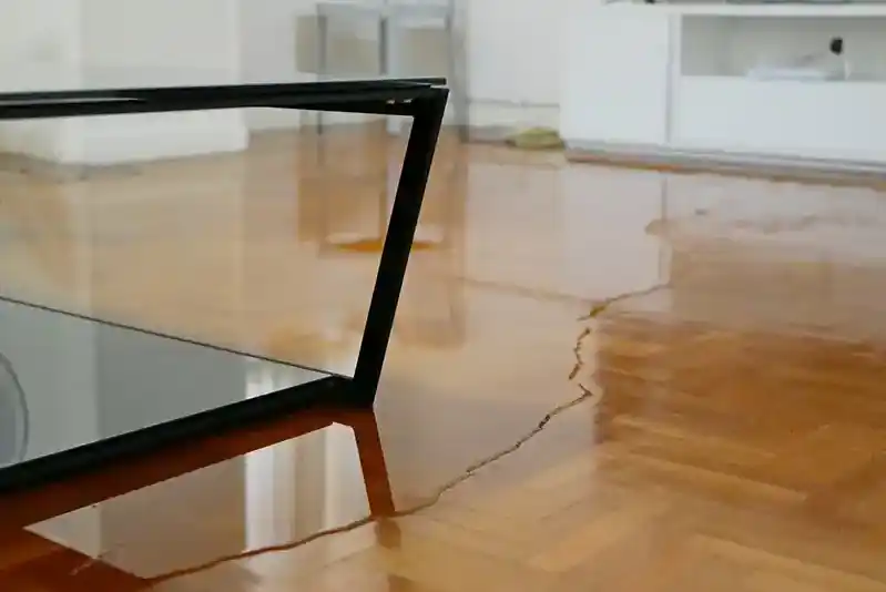 Flood Cleanup
