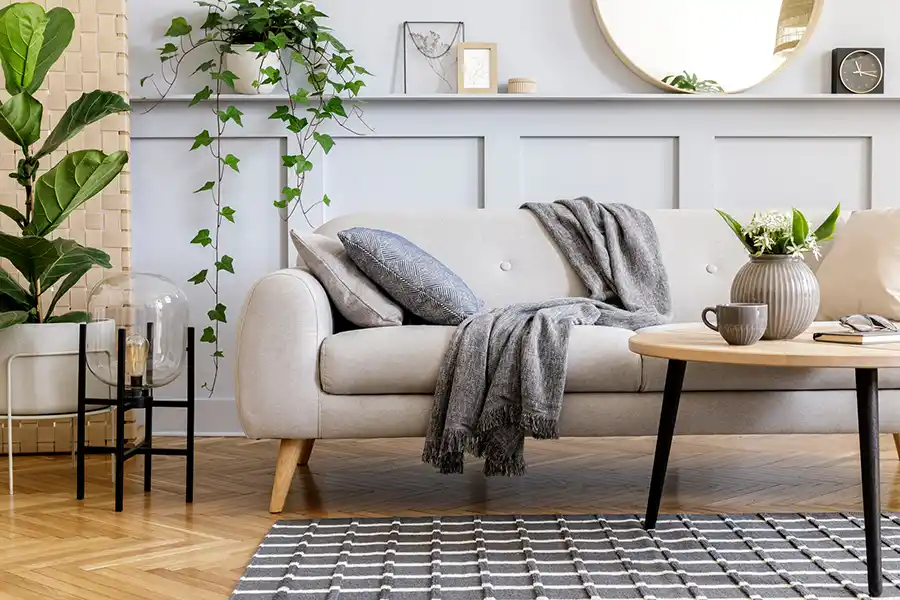 Furniture Cleaning Service